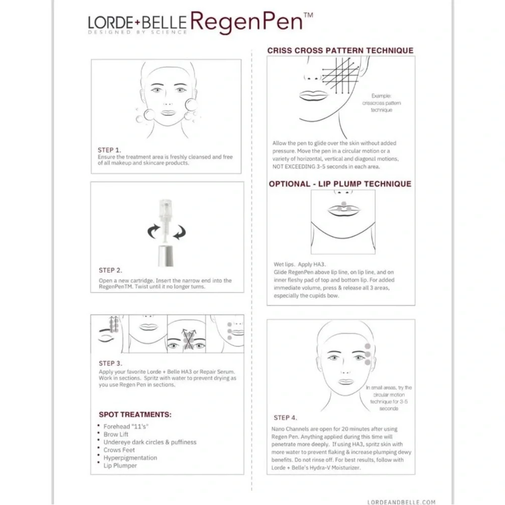 Lorde + Belle RegenPen Silver NIB Still in wrap!